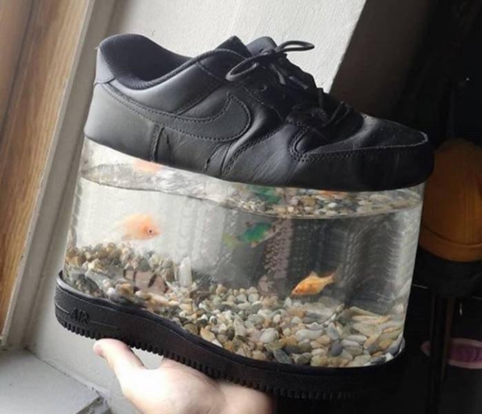 fish tank shoes - Air