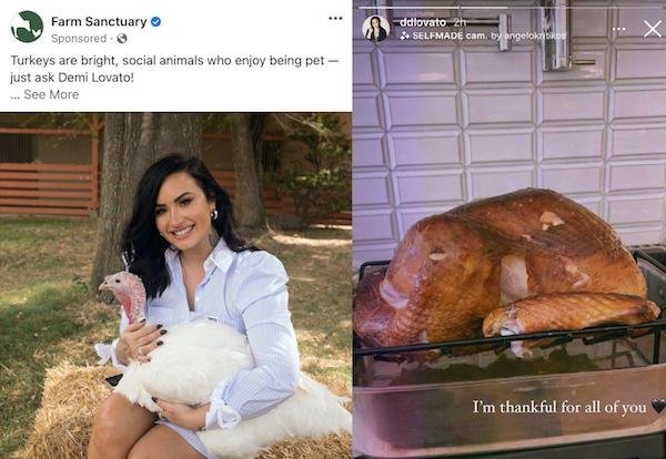 demi lovato turkey meme - ddlovato Selfmade cam, by angelonbiko X Farm Sanctuary Sponsored Turkeys are bright, social animals who enjoy being pet just ask Demi Lovato! ... See More I'm thankful for all of you