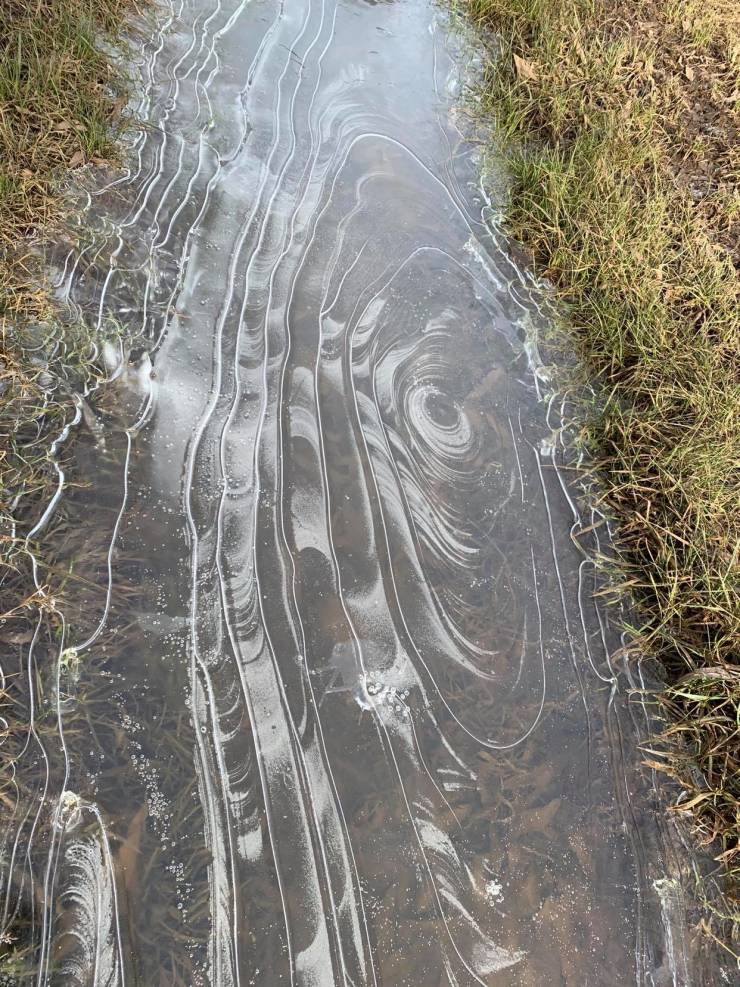 “The way this water froze in my field.”