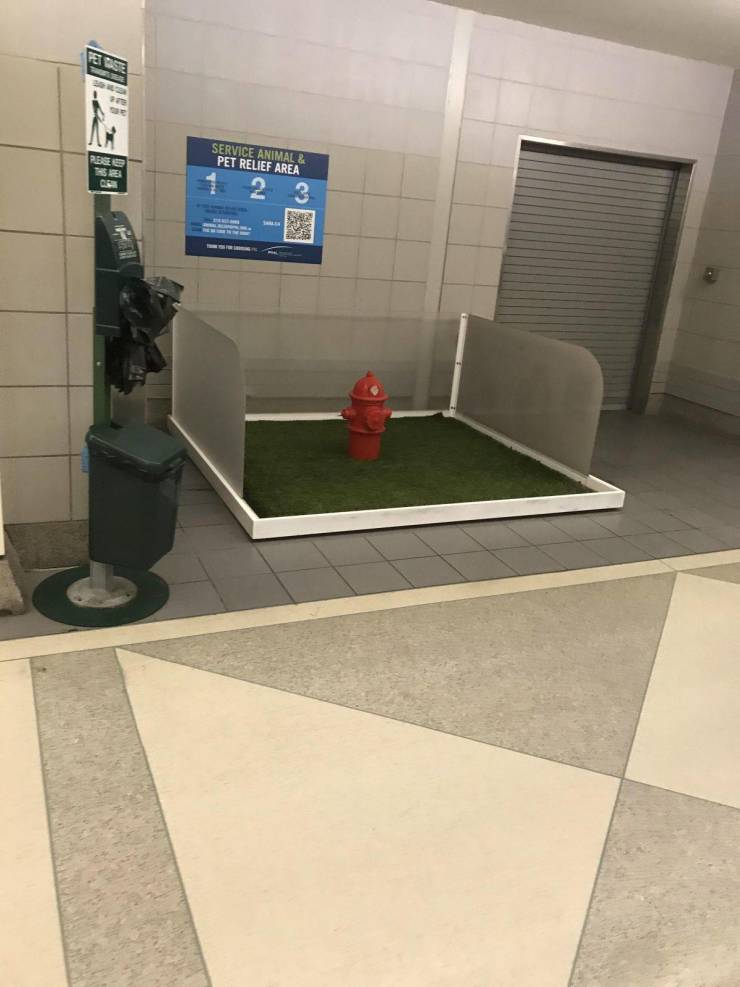 “Philadelphia airport has a fake fire hydrant with turf so service animals can do their business.”