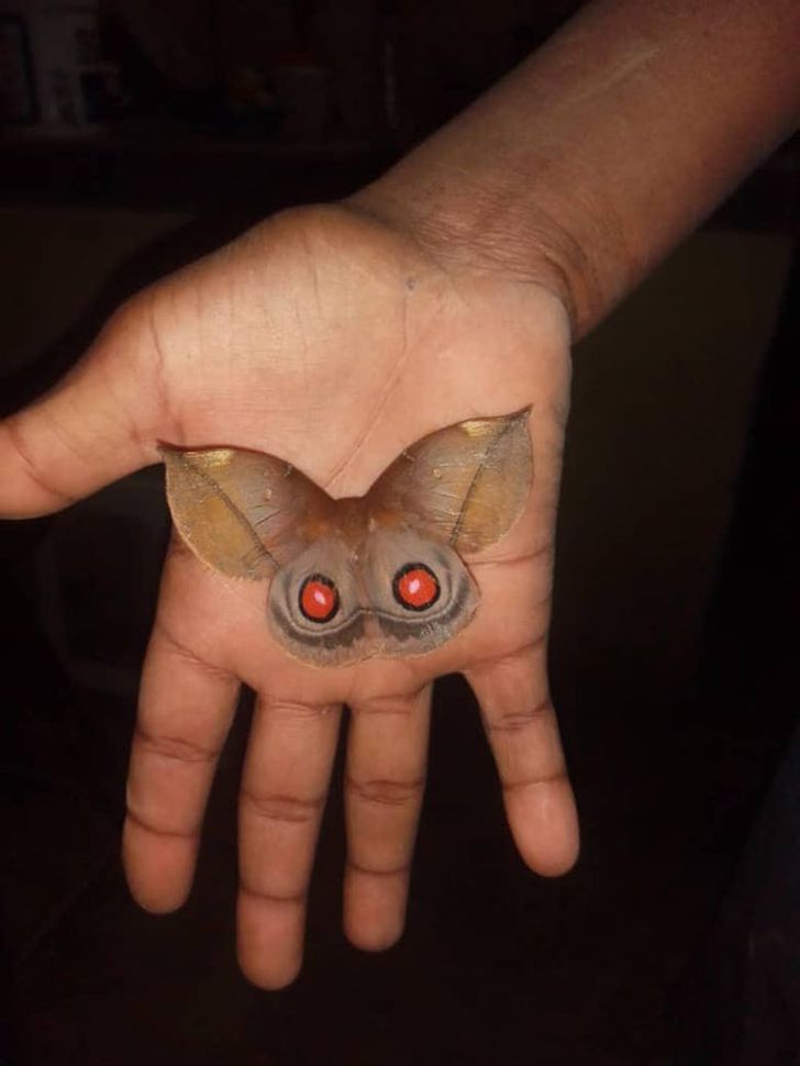 “Is that the face of a Gremlin on a moth?”