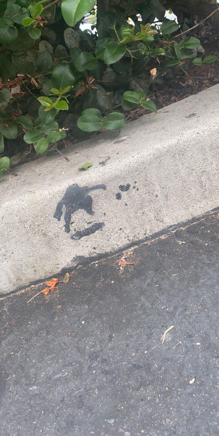 “This tar stain on a curb kinda looks like a skateboarder doing a trick.”