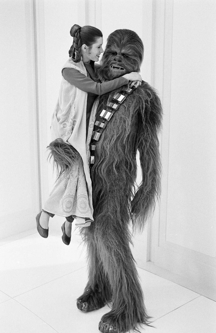 princesse leia chewbacca