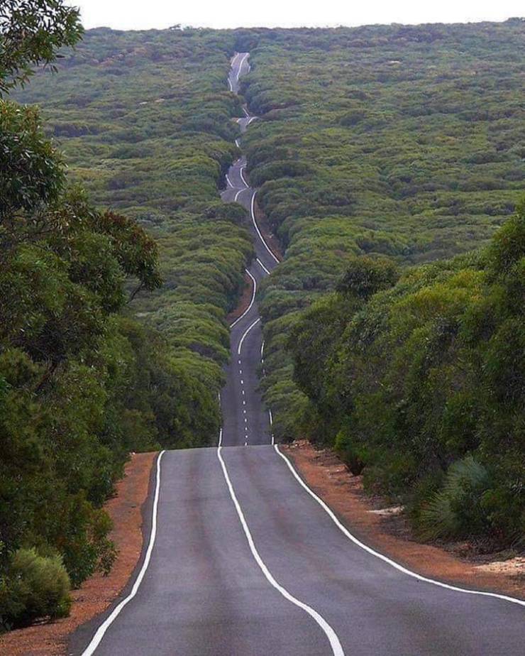 kangaroo island road