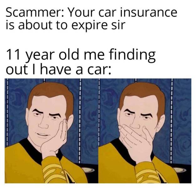 arcana memes - Scammer Your car insurance is about to expire sir 11 year old me finding out I have a car
