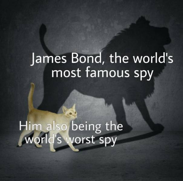 handle transactions for a multi billion dollar company - James Bond, the world's most famous spy Him also being the world's worst spy