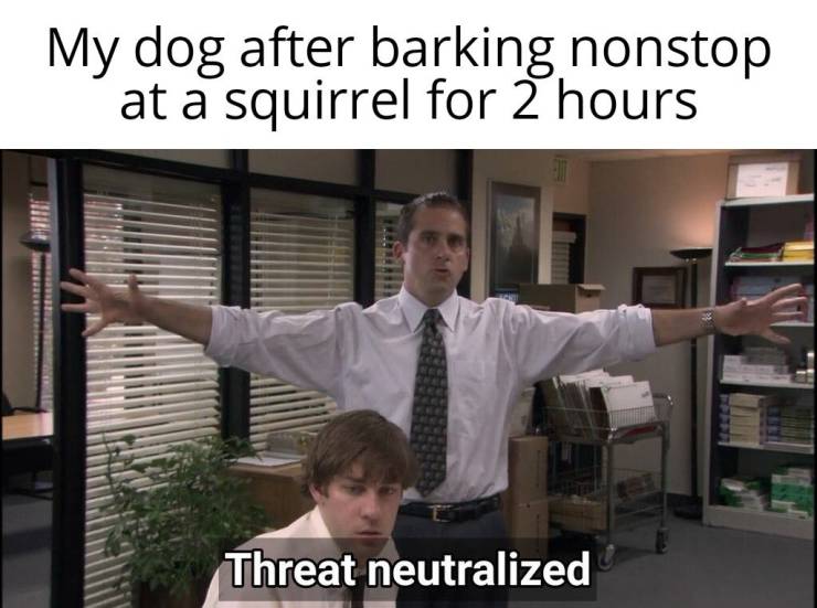 threat neutralized the office - My dog after barking nonstop at a squirrel for 2 hours Threat neutralized