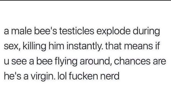 handwriting - a male bee's testicles explode during sex, killing him instantly. that means if u see a bee flying around, chances are he's a virgin. lol fucken nerd