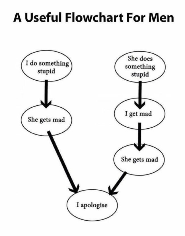 flow chart for men - A Useful Flowchart For Men I do something stupid She does something stupid I get mad She gets mad She gets mad I apologise