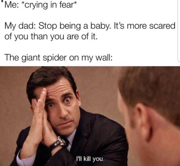 toby flenderson - "Me crying in fear My dad Stop being a baby. It's more scared of you than you are of it. The giant spider on my wall I'll kill you.