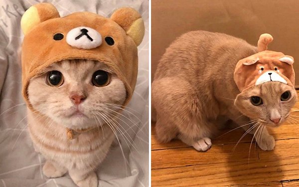 27 Times Expectations Were Met With a Harsh Reality.