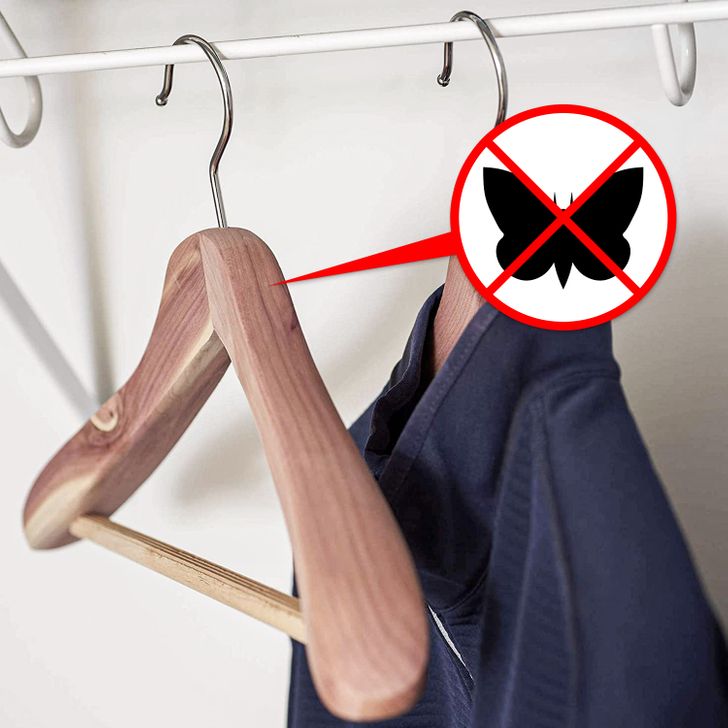 Cedarwood coat hangers aren’t just a fancy, nice-smelling version of your regular plastic or metal hangers. They have a very important use, which is the ability to repel moths and other bugs thanks to the cedarwood.