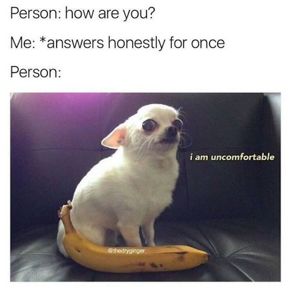 funny awkward memes - Person how are you? Me answers honestly for once Person i am uncomfortable