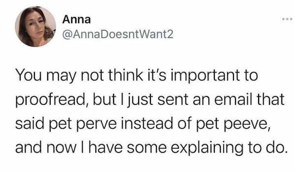 funny awkward memes - You may not think it's important to proofread, but I just sent an email that said pet perve instead of pet peeve, and now I have some explaining to do.