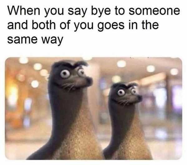 funny awkward memes - When you say bye to someone and both of you goes in the same way
