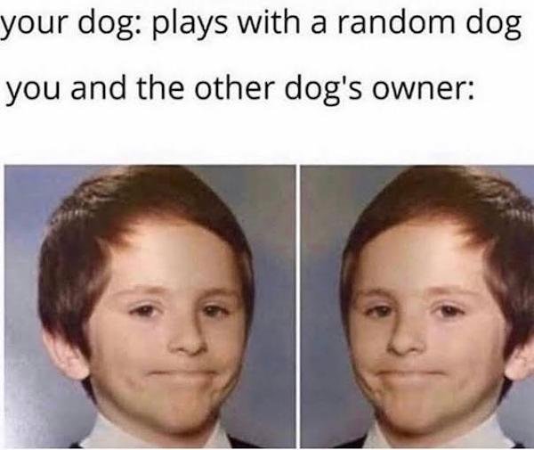 funny awkward memes - your dog plays with a random dog you and the other dog's owner
