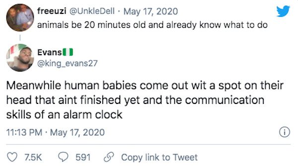 document - freeuzi animals be 20 minutes old and already know what to do Evans Meanwhile human babies come out wit a spot on their head that aint finished yet and the communication skills of an alarm clock 591 Copy link to Tweet