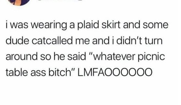 english language hit you with a chair - i was wearing a plaid skirt and some dude catcalled me and i didn't turn around so he said "whatever picnic table ass bitch" LMFAOO0000