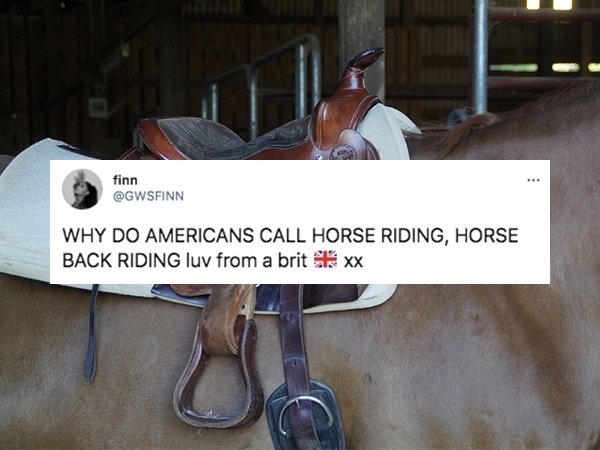 funny british questions about americans - Why Do Americans Call Horse Riding, Horse Back Riding luv from a brit