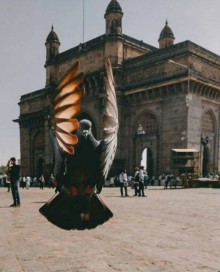 gateway of india - Rs