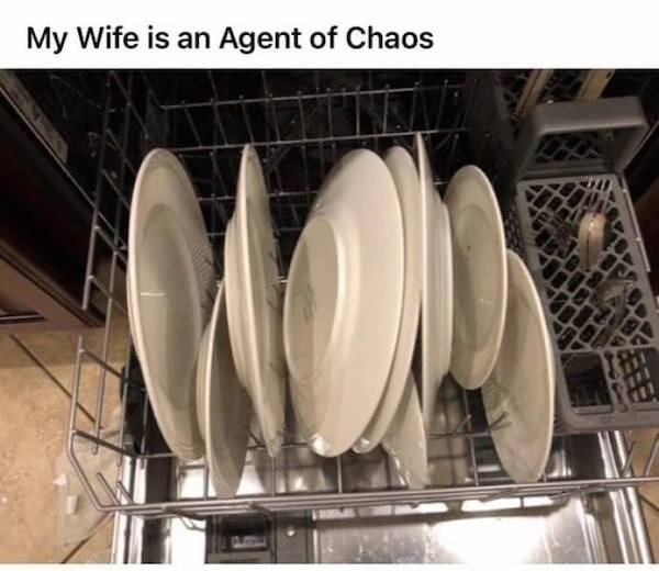 major appliance - My Wife is an Agent of Chaos