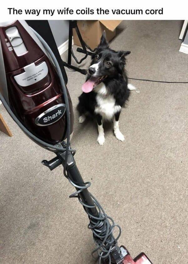 dog - The way my wife coils the vacuum cord . Shark
