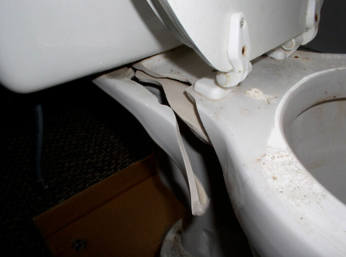 bad house guest habits - broken toilet