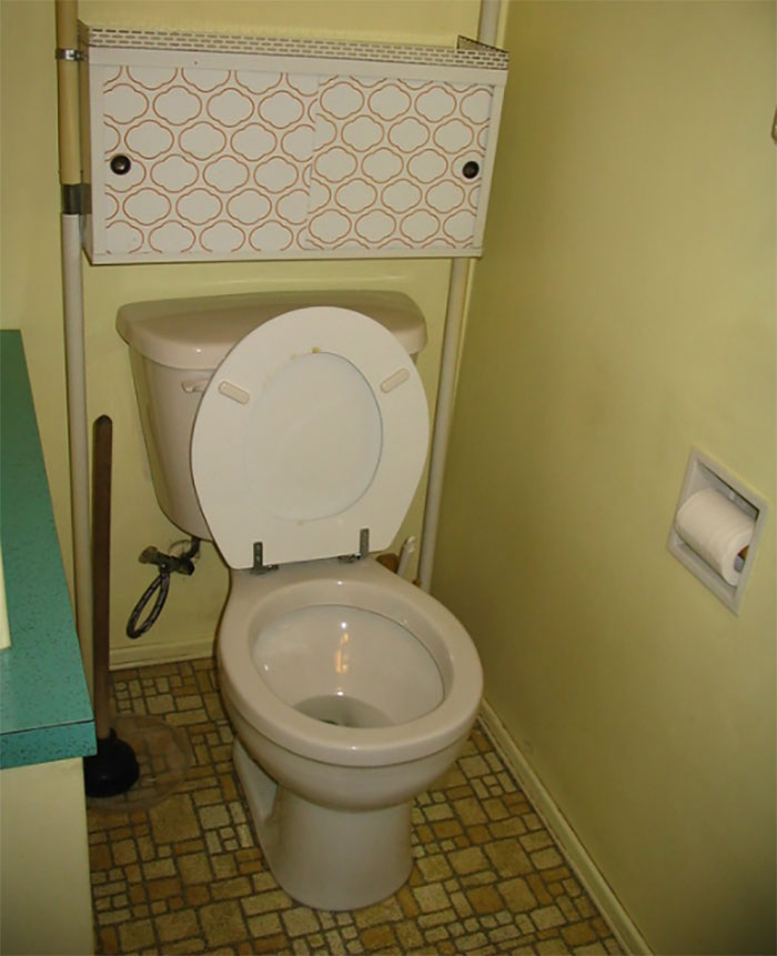 bad house guest habits - toilet in bathroom