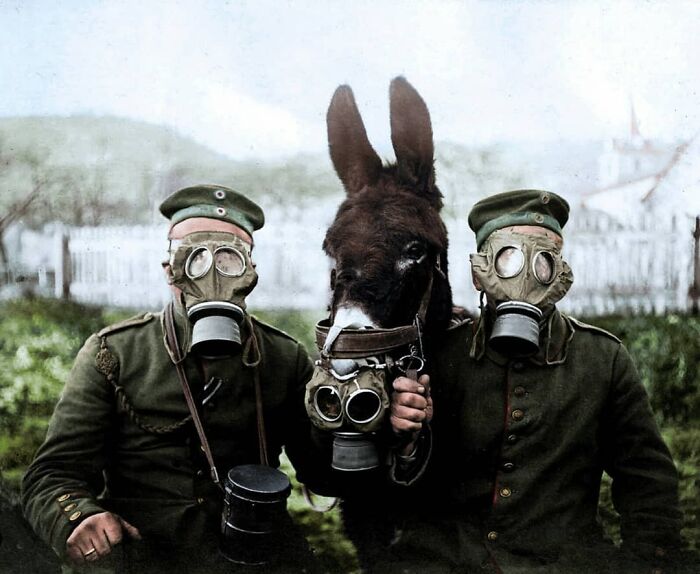 50 Awesome Colorized Photos From the Past.