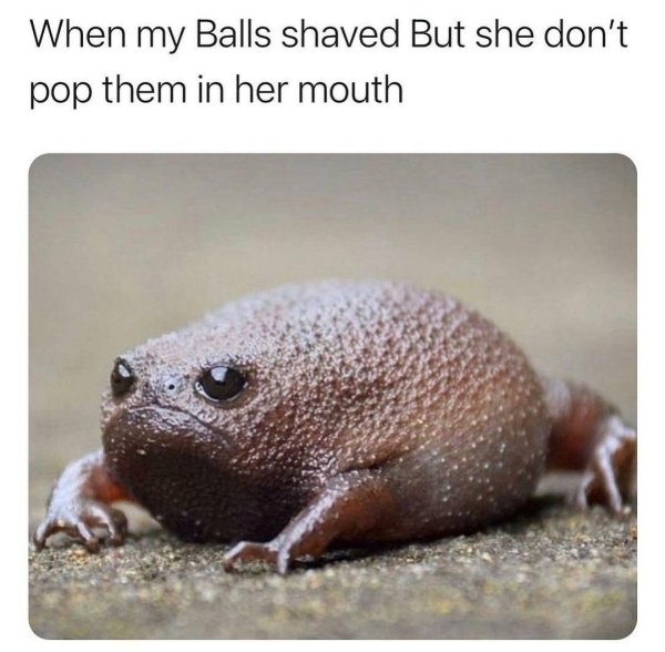 funny memes for men - When my Balls shaved But she don't pop them in her mouth