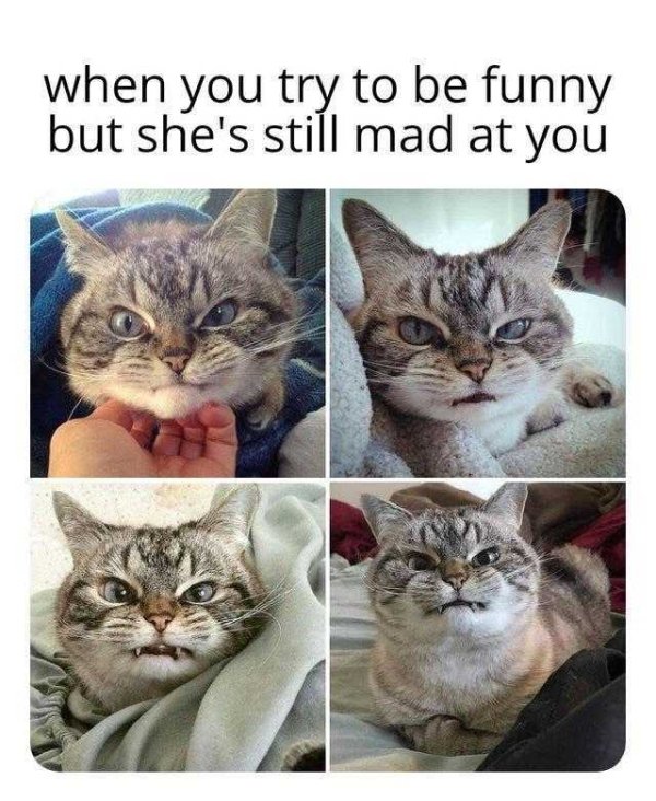 funny memes for men - when you try to be funny but she's still mad at you