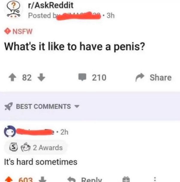 funny memes for men - What's it like to have a penis? - It's hard sometimes