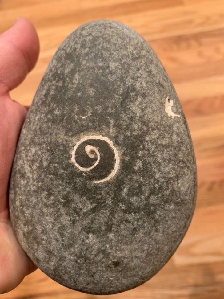 “This rock I found has a shell inside it and it’s been worn down to a flat spiral.”