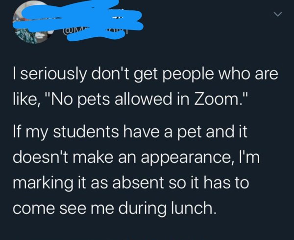 20 Wholesome Teachers.