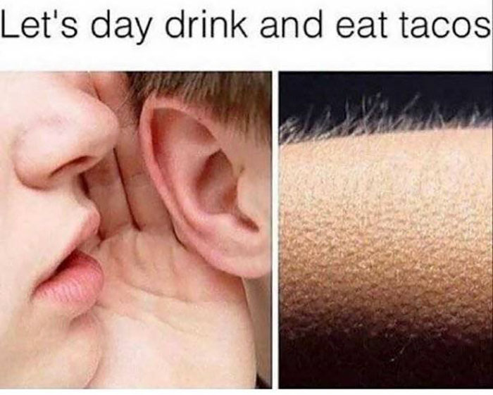 funny pics - Let's day drink and eat tacos