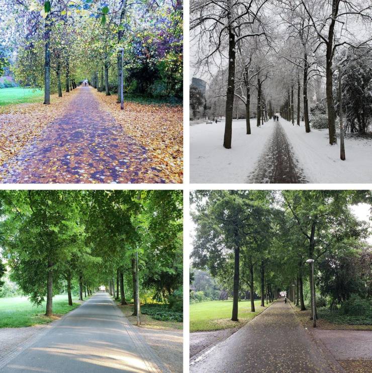 “I took a photo from the same spot in all 4 seasons.”