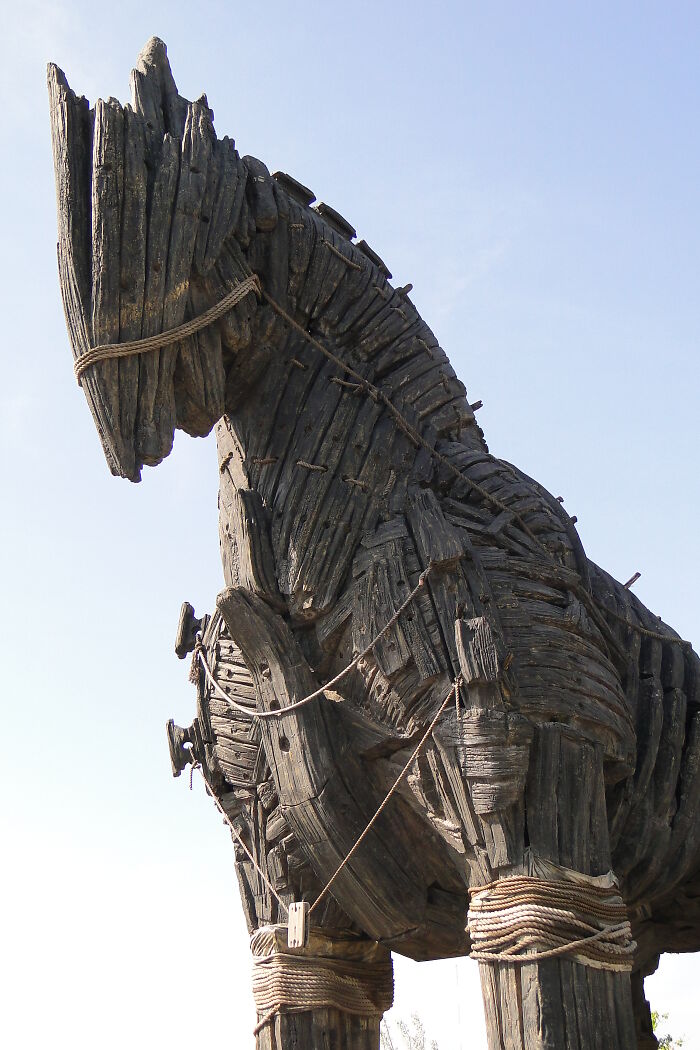 “Alright gentlemen we’ve successfully fended off the Greeks for 10 years, our great city of Troy still stands. If we keep this up surely they will realize the siege is fruitless and return home before long.”

“Yo captain there’s this big ass wooden horse outside”

“Oh rad bring it in”