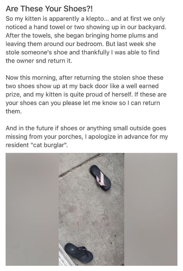 funny next door posts - Are These Your Shoes?! So my kitten is apparently a klepto... and at first we only noticed a hand towel or two showing up in our backyard. After the towels, she began bringing home plums and leaving them around our bedroom. But las