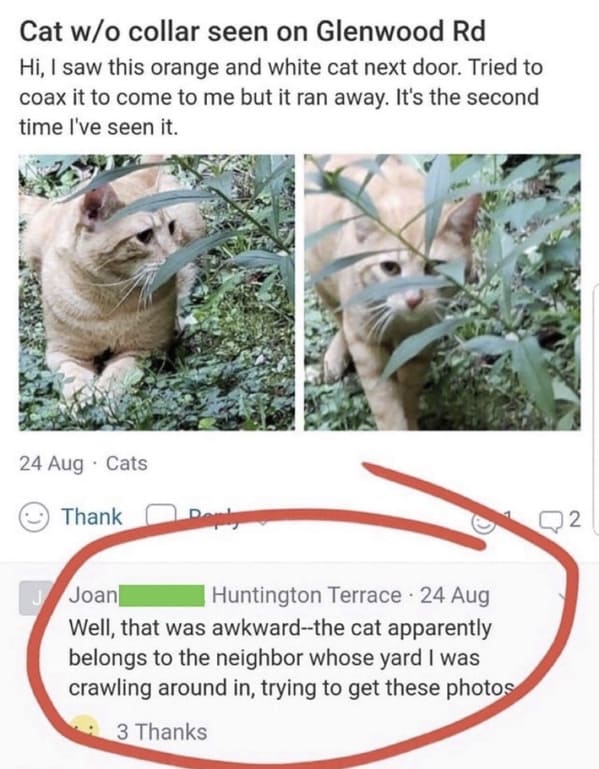 funny next door posts - nextdoor fox meme - Cat wo collar seen on Glenwood Rd Hi, I saw this orange and white cat next door. Tried to coax it to come to me but it ran away. It's the second time I've seen it. 24 Aug . Cats Thank Q2 Joan Huntington Terrace 