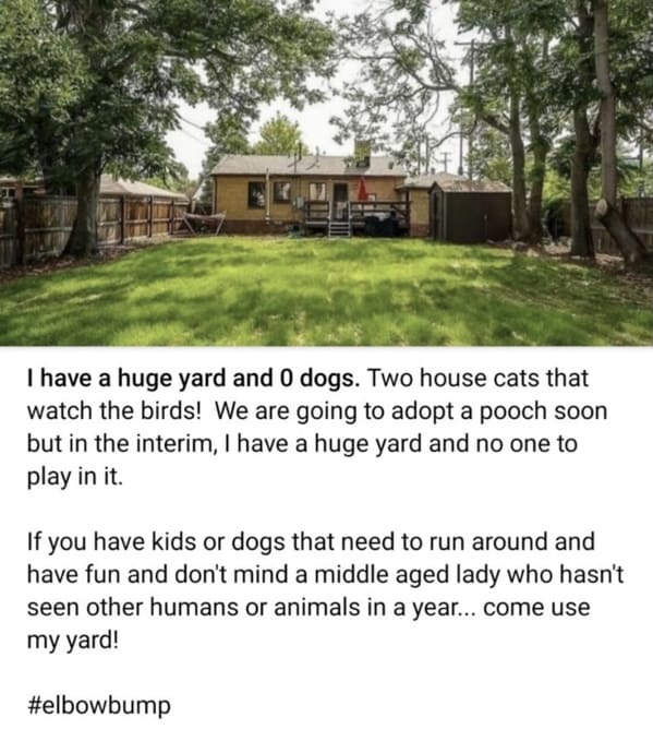funny next door posts - I have a huge yard and 0 dogs. Two house cats that watch the birds! We are going to adopt a pooch soon but in the interim, I have a huge yard and no one to play in it. If you have kids or dogs that need to run around and have fun a