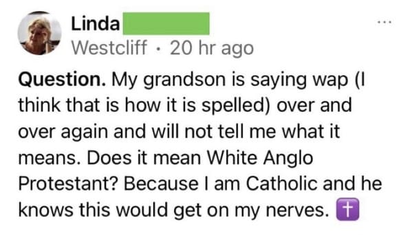 funny next door posts - My grandson is saying wap 1 think that is how it is spelled over and over again and will not tell me what it means. Does it mean White Anglo Protestant? Because I am Catholic and he knows this would get on my