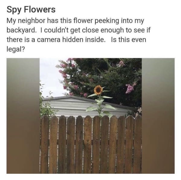 funny next door posts - Spy Flowers My neighbor has this flower peeking into my backyard. I couldn't get close enough to see if there is a camera hidden inside. Is this even legal?