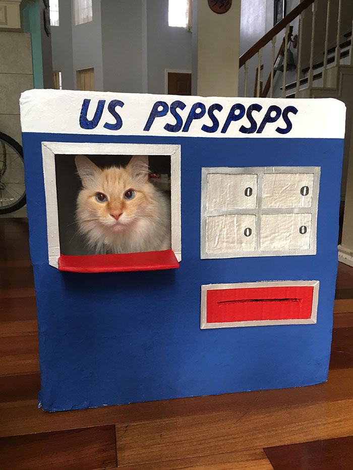 heartwarming pics - cat - Us Pspspsps