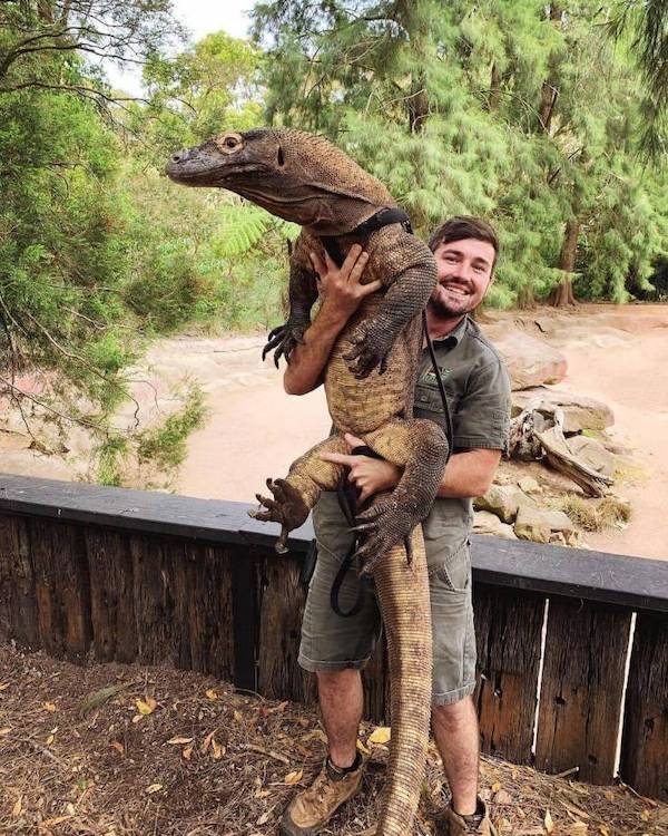 funny pics and memes - steve irwin's son holding a giant lizard
