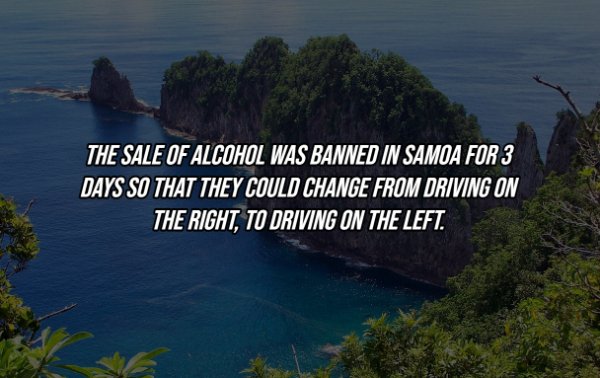 20 Useless Facts You Need to Know For No Reason at All.