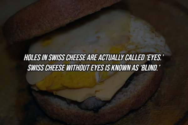 20 Useless Facts You Need to Know For No Reason at All.