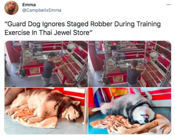 54 Funny Posts From Twitter This Week.
