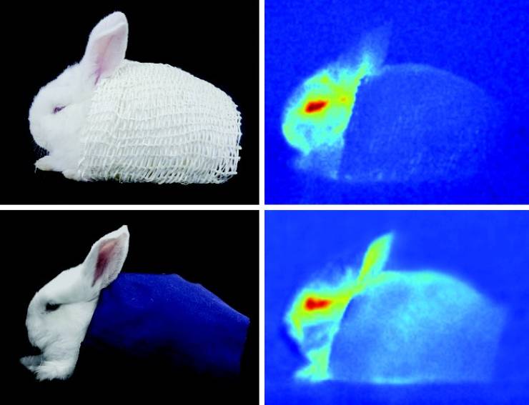 “A team at Zhejian University made a polar bear-inspired cloth in 2018. A polar bear's coarse fur is so good at insulation, their heat signature is almost invisible; the fur absorbs all infrared radiation. In infrared, top right is the mimicked fabric, nearing invisibility; below is polyester.”