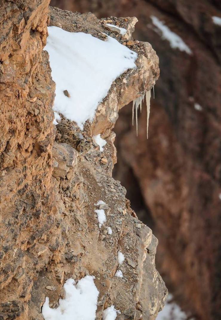 “This Snow Leopards Incredible Camoflauge!”