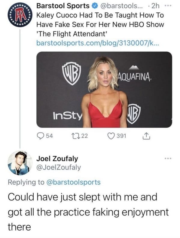 funny roasts -- Kaley Cuoco Had To Be Taught How To Have Fake Sex For Her New Hbo Show 'The Flight Attendant' - Could have just slept with me and got all the